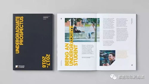 一組精美宣傳畫冊設計欣賞 圖文設計制作的藝術(shù)與實用指南