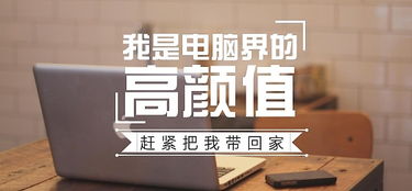 設(shè)計(jì)中英字體的魅力 圖文排版的創(chuàng)意之道